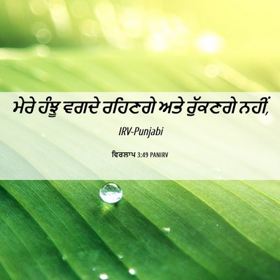 Picture 06 - ਵਿਰਲਾਪ 3:49 PANIRV - ਮੇਰੇ ਹੰਝੂ ਵਗਦੇ - Bible Verse Picture