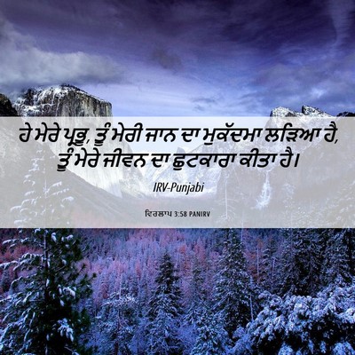 Picture 06 - ਵਿਰਲਾਪ 3:58 PANIRV - ਹੇ ਮੇਰੇ ਪ੍ਰਭੂ, ਤੂੰ - Bible Verse Picture