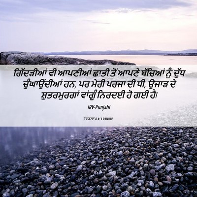 Picture 06 - ਵਿਰਲਾਪ 4:3 PANIRV - ਗਿੱਦੜੀਆਂ ਵੀ - Bible Verse Picture
