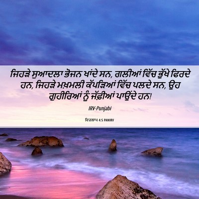 Picture 06 - ਵਿਰਲਾਪ 4:5 PANIRV - ਜਿਹੜੇ ਸੁਆਦਲਾ ਭੋਜਨ - Bible Verse Picture