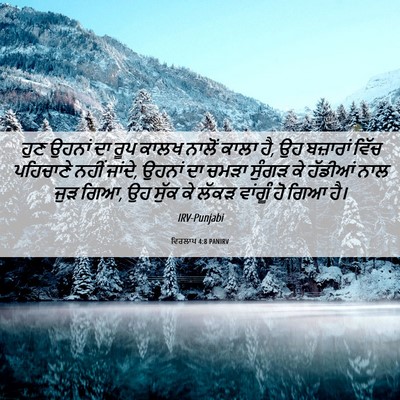 Picture 06 - ਵਿਰਲਾਪ 4:8 PANIRV - ਹੁਣ ਉਹਨਾਂ ਦਾ ਰੂਪ - Bible Verse Picture