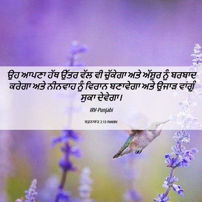 Picture 06 - ਸਫ਼ਨਯਾਹ 2:13 PANIRV - ਉਹ ਆਪਣਾ ਹੱਥ ਉੱਤਰ - Bible Verse Picture