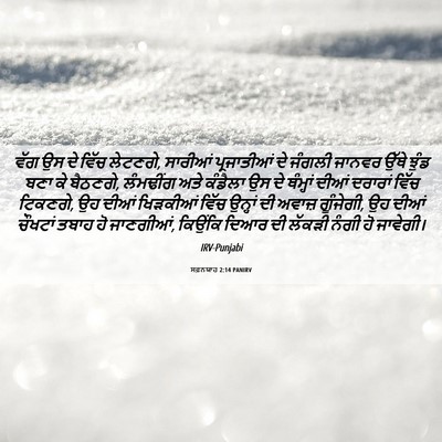 Picture 06 - ਸਫ਼ਨਯਾਹ 2:14 PANIRV - ਵੱਗ ਉਸ ਦੇ ਵਿੱਚ - Bible Verse Picture