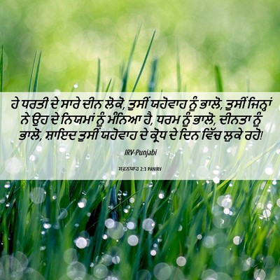 Picture 06 - ਸਫ਼ਨਯਾਹ 2:3 PANIRV - ਹੇ ਧਰਤੀ ਦੇ ਸਾਰੇ ਦੀਨ - Bible Verse Picture
