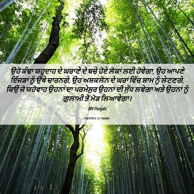 Picture 06 - ਸਫ਼ਨਯਾਹ 2:7 PANIRV - ਉਹੋ ਕੰਢਾ ਯਹੂਦਾਹ ਦੇ - Bible Verse Picture