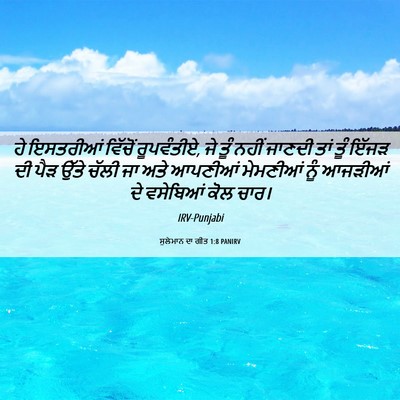 Picture 06 - ਸੁਲੇਮਾਨ ਦਾ ਗੀਤ 1:8 PANIRV - ਹੇ ਇਸਤਰੀਆਂ ਵਿੱਚੋਂ - Bible Verse Picture