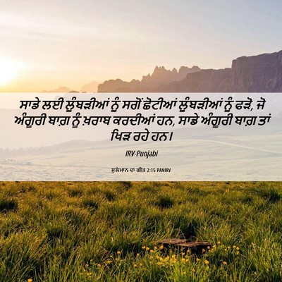 Picture 06 - ਸੁਲੇਮਾਨ ਦਾ ਗੀਤ 2:15 PANIRV - ਸਾਡੇ ਲਈ ਲੂੰਬੜੀਆਂ - Bible Verse Picture