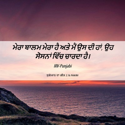 Picture 06 - ਸੁਲੇਮਾਨ ਦਾ ਗੀਤ 2:16 PANIRV - ਮੇਰਾ ਬਾਲਮ ਮੇਰਾ ਹੈ - Bible Verse Picture