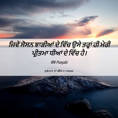 Picture 06 - ਸੁਲੇਮਾਨ ਦਾ ਗੀਤ 2:2 PANIRV - ਜਿਵੇਂ ਸੋਸਨ ਝਾੜੀਆਂ - Bible Verse Picture