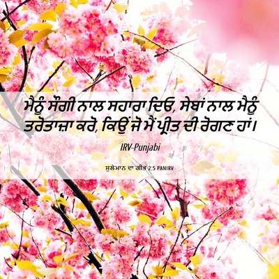 Picture 06 - ਸੁਲੇਮਾਨ ਦਾ ਗੀਤ 2:5 PANIRV - ਮੈਨੂੰ ਸੌਗੀ ਨਾਲ - Bible Verse Picture