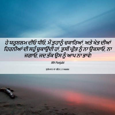 Picture 06 - ਸੁਲੇਮਾਨ ਦਾ ਗੀਤ 2:7 PANIRV - ਹੇ ਯਰੂਸ਼ਲਮ ਦੀਓ ਧੀਓ, - Bible Verse Picture