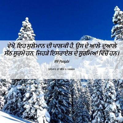 Picture 06 - ਸੁਲੇਮਾਨ ਦਾ ਗੀਤ 3:7 PANIRV - ਵੇਖੋ, ਇਹ ਸੁਲੇਮਾਨ ਦੀ - Bible Verse Picture