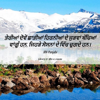 Picture 06 - ਸੁਲੇਮਾਨ ਦਾ ਗੀਤ 4:5 PANIRV - ਤੇਰੀਆਂ ਦੋਵੇਂ - Bible Verse Picture