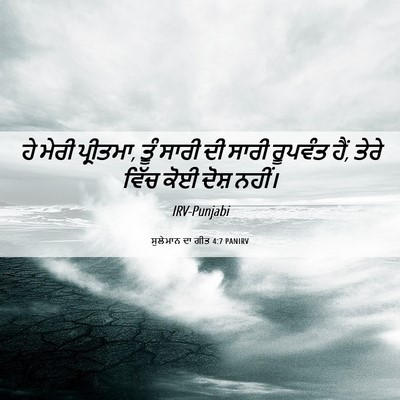 Picture 06 - ਸੁਲੇਮਾਨ ਦਾ ਗੀਤ 4:7 PANIRV - ਹੇ ਮੇਰੀ ਪ੍ਰੀਤਮਾ, - Bible Verse Picture