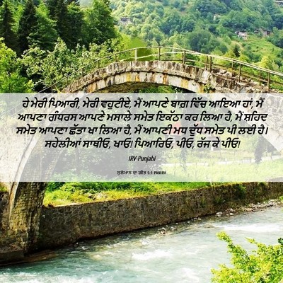 Picture 06 - ਸੁਲੇਮਾਨ ਦਾ ਗੀਤ 5:1 PANIRV - ਹੇ ਮੇਰੀ ਪਿਆਰੀ, ਮੇਰੀ - Bible Verse Picture