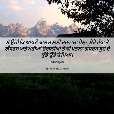 Picture 06 - ਸੁਲੇਮਾਨ ਦਾ ਗੀਤ 5:5 PANIRV - ਮੈਂ ਉੱਠੀ ਕਿ ਆਪਣੇ - Bible Verse Picture