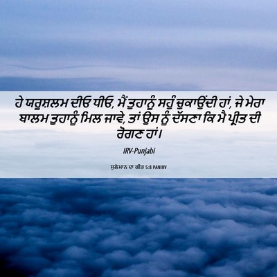 Picture 06 - ਸੁਲੇਮਾਨ ਦਾ ਗੀਤ 5:8 PANIRV - ਹੇ ਯਰੂਸ਼ਲਮ ਦੀਓ ਧੀਓ, - Bible Verse Picture