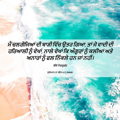 Picture 06 - ਸੁਲੇਮਾਨ ਦਾ ਗੀਤ 6:11 PANIRV - ਮੈਂ ਚਲਗੋਜਿਆਂ ਦੀ - Bible Verse Picture