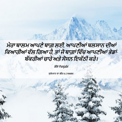 Picture 06 - ਸੁਲੇਮਾਨ ਦਾ ਗੀਤ 6:2 PANIRV - ਮੇਰਾ ਬਾਲਮ ਆਪਣੇ - Bible Verse Picture