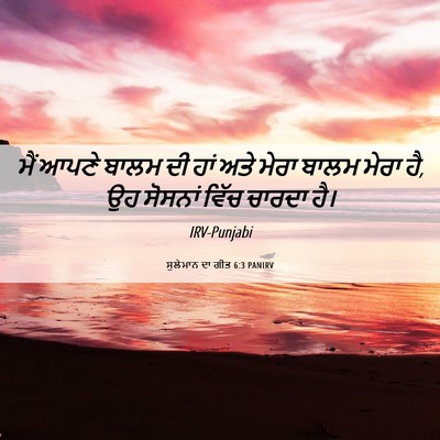 Picture 06 - ਸੁਲੇਮਾਨ ਦਾ ਗੀਤ 6:3 PANIRV - ਮੈਂ ਆਪਣੇ ਬਾਲਮ ਦੀ - Bible Verse Picture