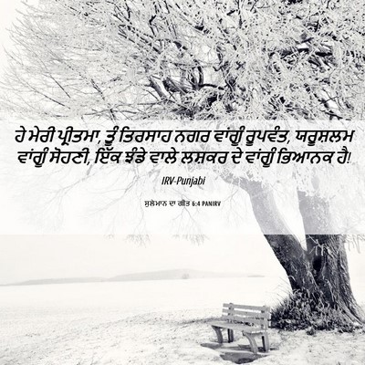 Picture 06 - ਸੁਲੇਮਾਨ ਦਾ ਗੀਤ 6:4 PANIRV - ਹੇ ਮੇਰੀ ਪ੍ਰੀਤਮਾ, - Bible Verse Picture