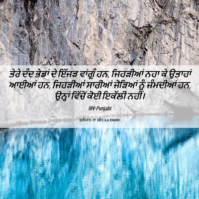 Picture 06 - ਸੁਲੇਮਾਨ ਦਾ ਗੀਤ 6:6 PANIRV - ਤੇਰੇ ਦੰਦ ਭੇਡਾਂ ਦੇ - Bible Verse Picture