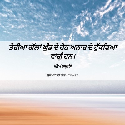 Picture 06 - ਸੁਲੇਮਾਨ ਦਾ ਗੀਤ 6:7 PANIRV - ਤੇਰੀਆਂ ਗੱਲਾਂ ਘੁੰਡ - Bible Verse Picture