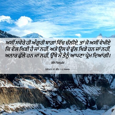 Picture 06 - ਸੁਲੇਮਾਨ ਦਾ ਗੀਤ 7:12 PANIRV - ਅਸੀਂ ਸਵੇਰੇ ਹੀ - Bible Verse Picture