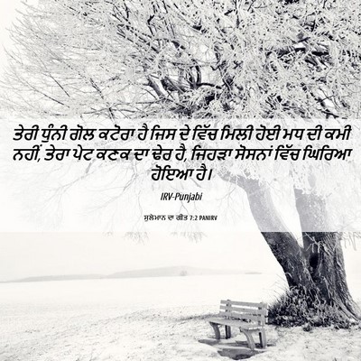 Picture 06 - ਸੁਲੇਮਾਨ ਦਾ ਗੀਤ 7:2 PANIRV - ਤੇਰੀ ਧੁੰਨੀ ਗੋਲ - Bible Verse Picture