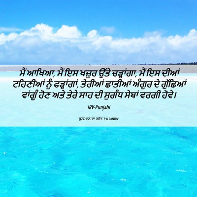 Picture 06 - ਸੁਲੇਮਾਨ ਦਾ ਗੀਤ 7:8 PANIRV - ਮੈਂ ਆਖਿਆ, ਮੈਂ ਇਸ - Bible Verse Picture