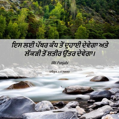 Picture 06 - ਹਬੱਕੂਕ 2:11 PANIRV - ਇਸ ਲਈ ਪੱਥਰ ਕੰਧ ਤੋਂ - Bible Verse Picture