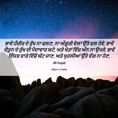 Picture 06 - ਹਬੱਕੂਕ 3:17 PANIRV - ਭਾਵੇਂ ਹੰਜ਼ੀਰ ਦੇ - Bible Verse Picture