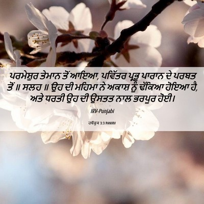 Picture 06 - ਹਬੱਕੂਕ 3:3 PANIRV - ਪਰਮੇਸ਼ੁਰ ਤੇਮਾਨ - Bible Verse Picture