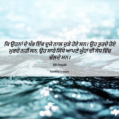 Picture 06 - ਹਿਜ਼ਕੀਏਲ 1:9 PANIRV - ਕਿ ਉਹਨਾਂ ਦੇ ਖੰਭ ਇੱਕ - Bible Verse Picture