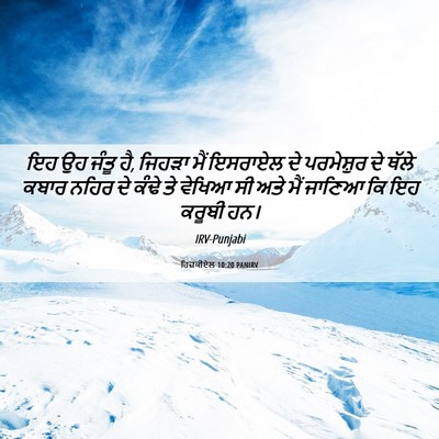 Picture 06 - ਹਿਜ਼ਕੀਏਲ 10:20 PANIRV - ਇਹ ਉਹ ਜੰਤੂ ਹੈ, - Bible Verse Picture