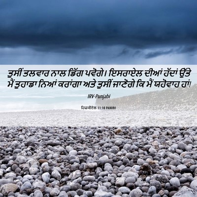 Picture 06 - ਹਿਜ਼ਕੀਏਲ 11:10 PANIRV - ਤੁਸੀਂ ਤਲਵਾਰ ਨਾਲ - Bible Verse Picture