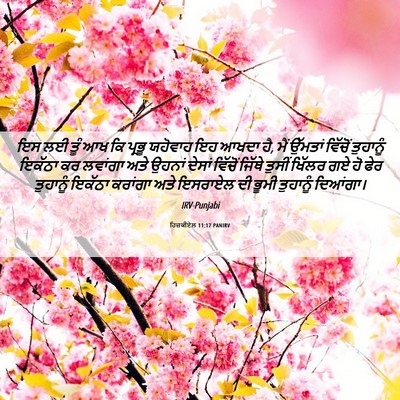 Picture 06 - ਹਿਜ਼ਕੀਏਲ 11:17 PANIRV - ਇਸ ਲਈ ਤੂੰ ਆਖ ਕਿ - Bible Verse Picture