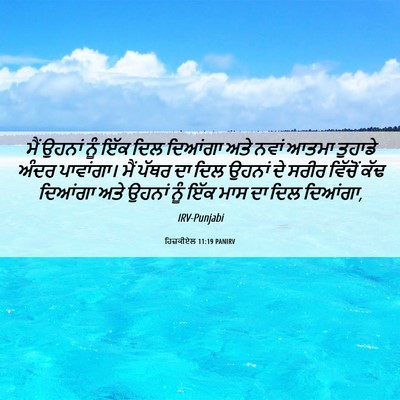 Picture 06 - ਹਿਜ਼ਕੀਏਲ 11:19 PANIRV - ਮੈਂ ਉਹਨਾਂ ਨੂੰ ਇੱਕ - Bible Verse Picture