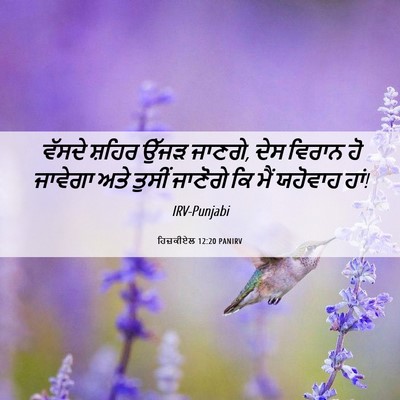Picture 06 - ਹਿਜ਼ਕੀਏਲ 12:20 PANIRV - ਵੱਸਦੇ ਸ਼ਹਿਰ ਉੱਜੜ - Bible Verse Picture