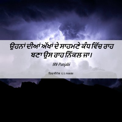 Picture 06 - ਹਿਜ਼ਕੀਏਲ 12:5 PANIRV - ਉਹਨਾਂ ਦੀਆਂ ਅੱਖਾਂ - Bible Verse Picture
