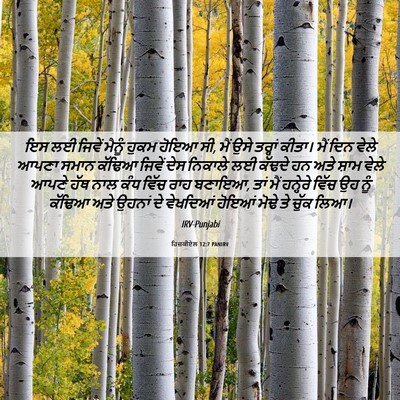 Picture 06 - ਹਿਜ਼ਕੀਏਲ 12:7 PANIRV - ਇਸ ਲਈ ਜਿਵੇਂ ਮੈਨੂੰ - Bible Verse Picture
