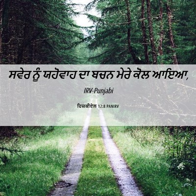 Picture 06 - ਹਿਜ਼ਕੀਏਲ 12:8 PANIRV - ਸਵੇਰ ਨੂੰ ਯਹੋਵਾਹ ਦਾ - Bible Verse Picture