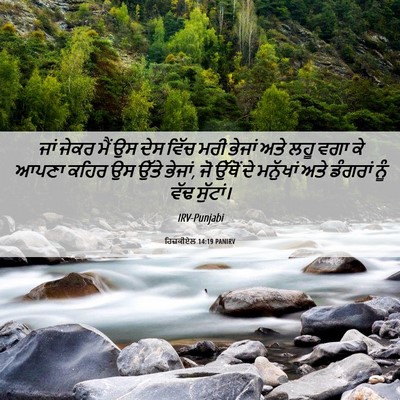 Picture 06 - ਹਿਜ਼ਕੀਏਲ 14:19 PANIRV - ਜਾਂ ਜੇਕਰ ਮੈਂ ਉਸ ਦੇਸ - Bible Verse Picture