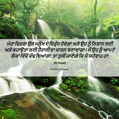 Picture 06 - ਹਿਜ਼ਕੀਏਲ 14:8 PANIRV - ਮੇਰਾ ਚਿਹਰਾ ਉਸ - Bible Verse Picture