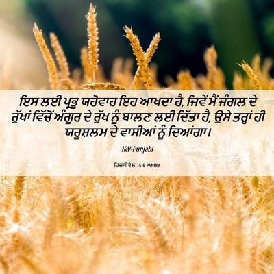 Picture 06 - ਹਿਜ਼ਕੀਏਲ 15:6 PANIRV - ਇਸ ਲਈ ਪ੍ਰਭੂ ਯਹੋਵਾਹ - Bible Verse Picture