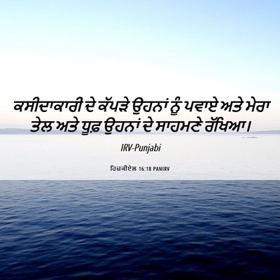 Picture 06 - ਹਿਜ਼ਕੀਏਲ 16:18 PANIRV - ਕਸੀਦਾਕਾਰੀ ਦੇ - Bible Verse Picture