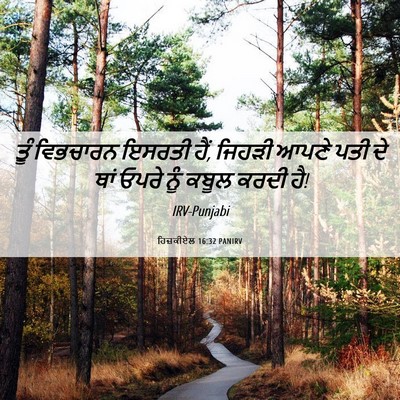 Picture 06 - ਹਿਜ਼ਕੀਏਲ 16:32 PANIRV - ਤੂੰ ਵਿਭਚਾਰਨ ਇਸਰਤੀ - Bible Verse Picture