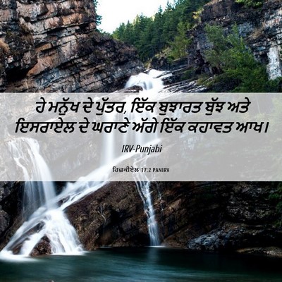 Picture 06 - ਹਿਜ਼ਕੀਏਲ 17:2 PANIRV - ਹੇ ਮਨੁੱਖ ਦੇ ਪੁੱਤਰ, - Bible Verse Picture