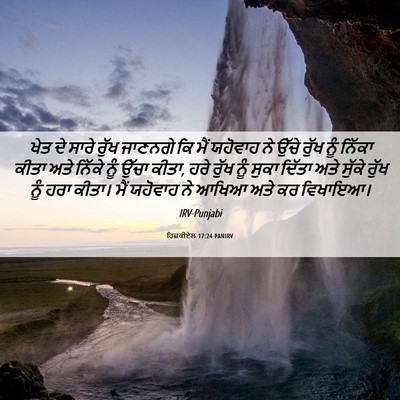 Picture 06 - ਹਿਜ਼ਕੀਏਲ 17:24 PANIRV - ਖੇਤ ਦੇ ਸਾਰੇ ਰੁੱਖ - Bible Verse Picture