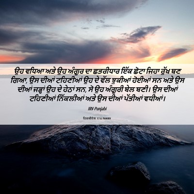 Picture 06 - ਹਿਜ਼ਕੀਏਲ 17:6 PANIRV - ਉਹ ਵਧਿਆ ਅਤੇ ਉਹ - Bible Verse Picture